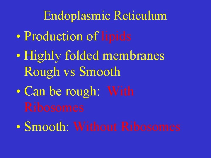 Endoplasmic Reticulum • Production of lipids • Highly folded membranes Rough vs Smooth •