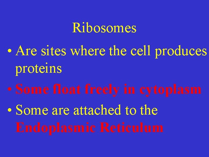 Ribosomes • Are sites where the cell produces proteins • Some float freely in
