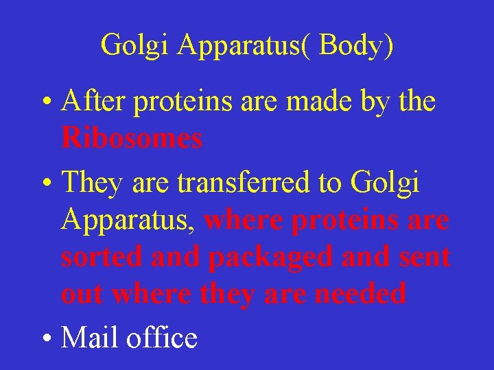 Golgi Apparatus( Body) • After proteins are made by the Ribosomes • They are