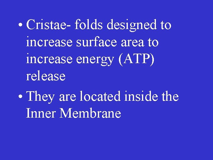  • Cristae- folds designed to increase surface area to increase energy (ATP) release