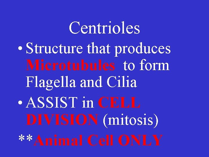 Centrioles • Structure that produces Microtubules to form Flagella and Cilia • ASSIST in