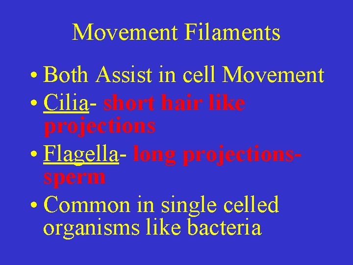 Movement Filaments • Both Assist in cell Movement • Cilia- short hair like projections