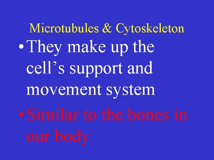 Microtubules & Cytoskeleton • They make up the cell’s support and movement system •