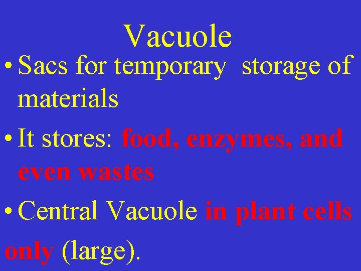 Vacuole • Sacs for temporary storage of materials • It stores: food, enzymes, and