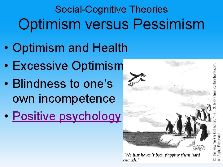 Social-Cognitive Theories Optimism versus Pessimism • Optimism and Health • Excessive Optimism • Blindness