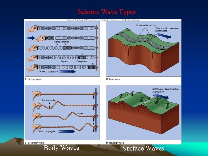 Seismic Wave Types Body Waves Surface Waves 