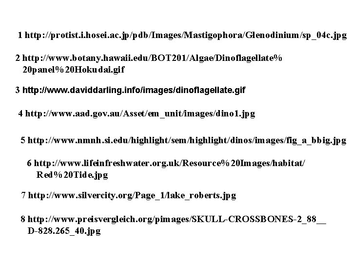 1 http: //protist. i. hosei. ac. jp/pdb/Images/Mastigophora/Glenodinium/sp_04 c. jpg 2 http: //www. botany. hawaii.