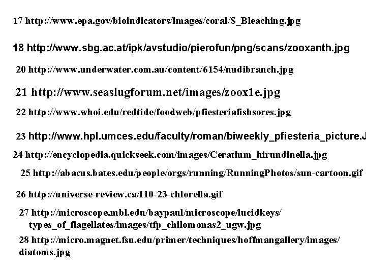 17 http: //www. epa. gov/bioindicators/images/coral/S_Bleaching. jpg 18 http: //www. sbg. ac. at/ipk/avstudio/pierofun/png/scans/zooxanth. jpg 20