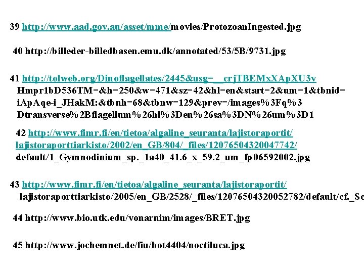 39 http: //www. aad. gov. au/asset/mme/movies/Protozoan. Ingested. jpg 40 http: //billeder-billedbasen. emu. dk/annotated/53/5 B/9731.