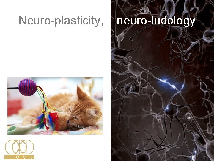 Neuro-plasticity, neuro-ludology Neuro-plasticity, neuro-ludology