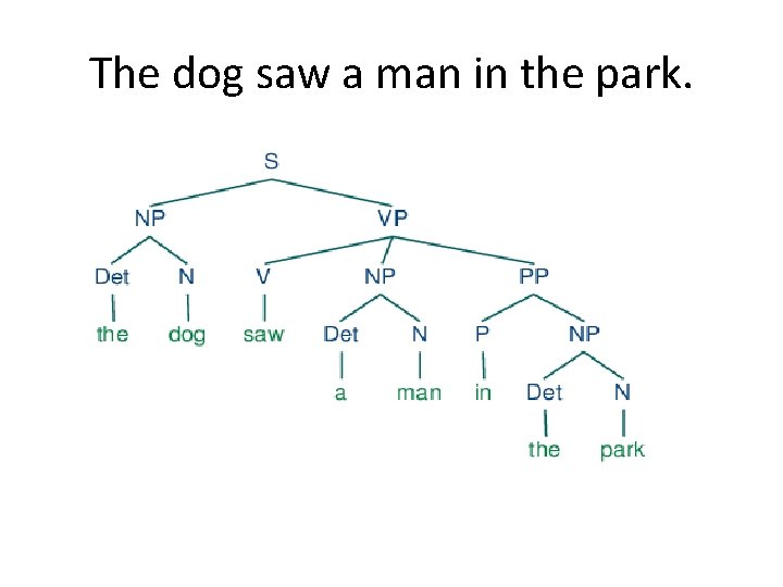 The dog saw a man in the park. 