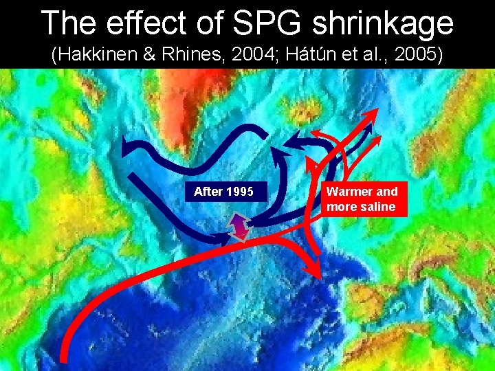 The effect of SPG shrinkage (Hakkinen & Rhines, 2004; Hátún et al. , 2005) The effect of SPG shrinkage (Hakkinen & Rhines, 2004; Hátún et al. , 2005)