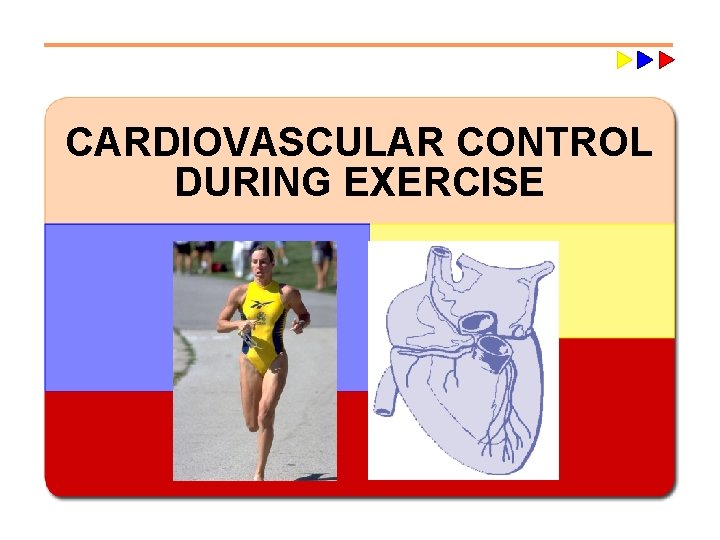 CARDIOVASCULAR CONTROL DURING EXERCISE 