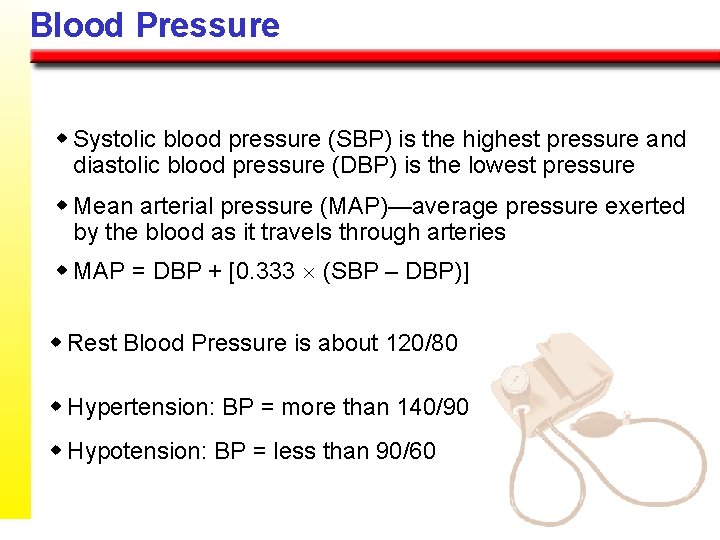 Blood Pressure w Systolic blood pressure (SBP) is the highest pressure and diastolic blood