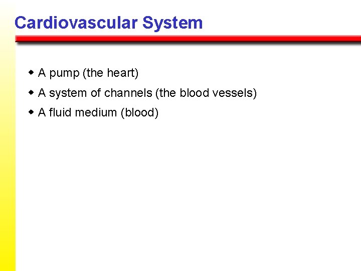 Cardiovascular System w A pump (the heart) w A system of channels (the blood