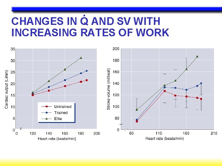 . CHANGES IN Q AND SV WITH INCREASING RATES OF WORK 