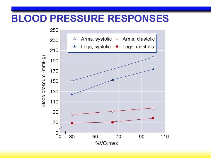 BLOOD PRESSURE RESPONSES 