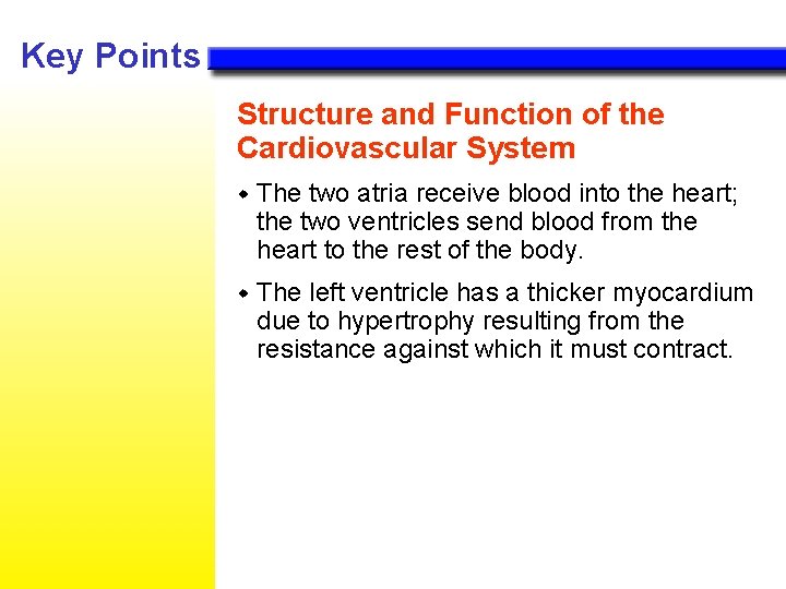 Key Points Structure and Function of the Cardiovascular System w The two atria receive