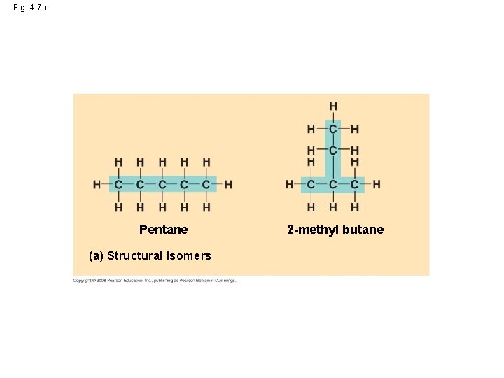 Fig. 4 -7 a Pentane (a) Structural isomers 2 -methyl butane 