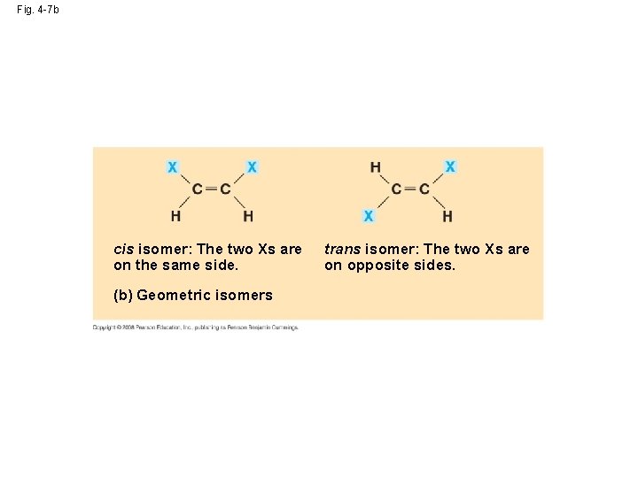Fig. 4 -7 b cis isomer: The two Xs are on the same side. Fig. 4 -7 b cis isomer: The two Xs are on the same side.