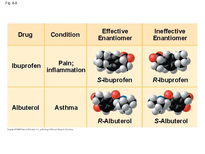 Fig. 4 -8 Drug Condition Ibuprofen Pain; inflammation Albuterol Effective Enantiomer Ineffective Enantiomer S-Ibuprofen