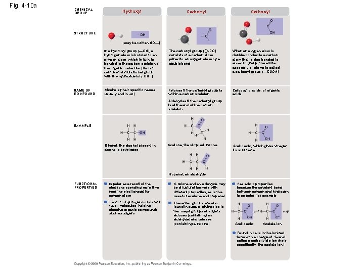 Fig. 4 -10 a CHEMICAL GROUP Hydroxyl Carbonyl Carboxyl STRUCTURE (may be written HO—) Fig. 4 -10 a CHEMICAL GROUP Hydroxyl Carbonyl Carboxyl STRUCTURE (may be written HO—)