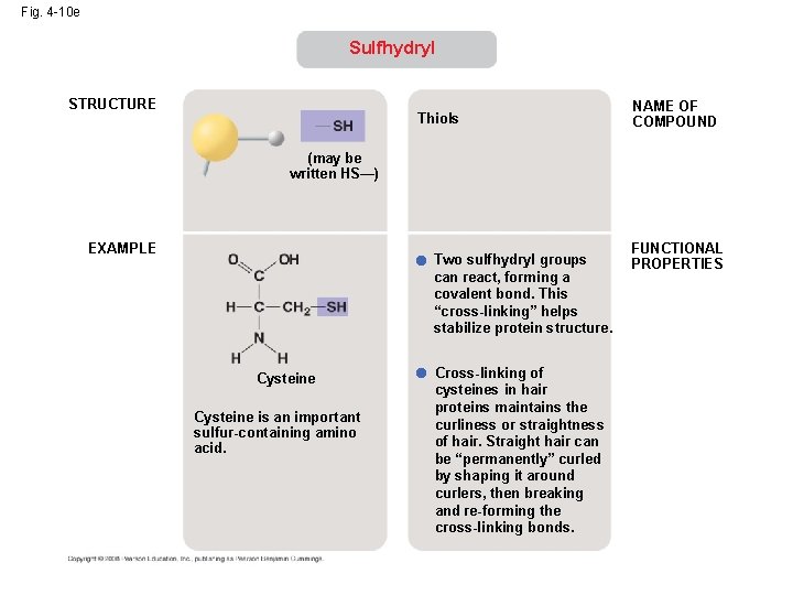 Fig. 4 -10 e Sulfhydryl STRUCTURE Thiols NAME OF COMPOUND (may be written HS—) Fig. 4 -10 e Sulfhydryl STRUCTURE Thiols NAME OF COMPOUND (may be written HS—)