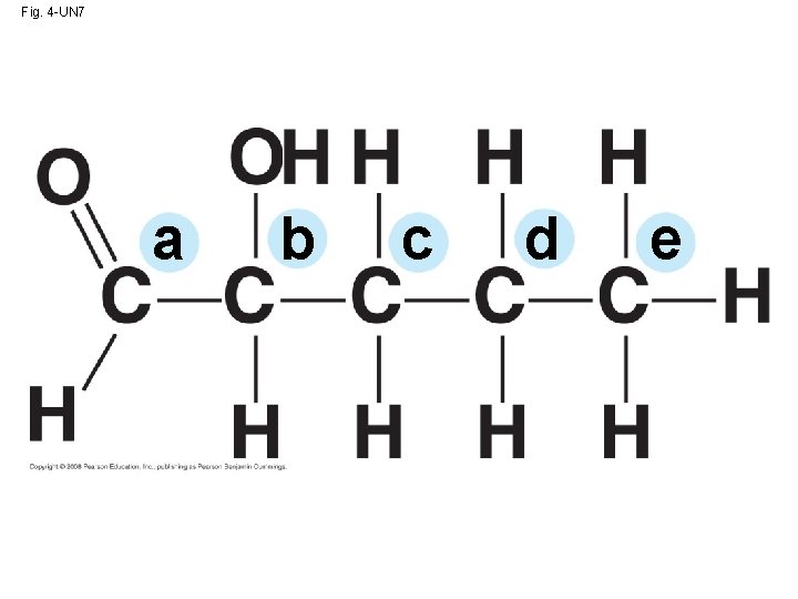 Fig. 4 -UN 7 a b c d e 