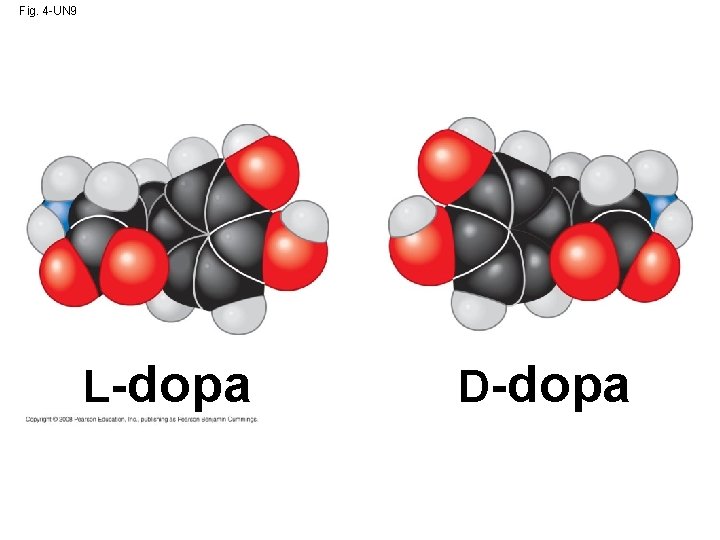 Fig. 4 -UN 9 L-dopa D-dopa 
