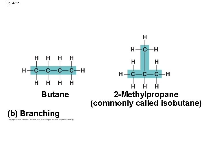 Fig. 4 -5 b Butane (b) Branching 2 -Methylpropane (commonly called isobutane) Fig. 4 -5 b Butane (b) Branching 2 -Methylpropane (commonly called isobutane)
