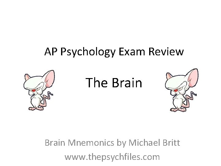 AP Psychology Exam Review The Brain Mnemonics by Michael Britt www. thepsychfiles. com 