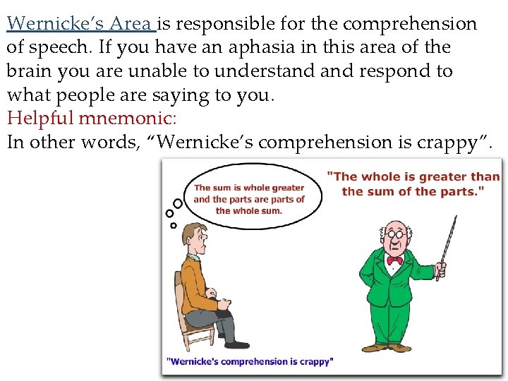 Wernicke’s Area is responsible for the comprehension of speech. If you have an aphasia