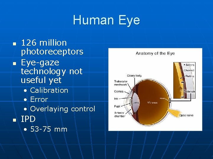 Human Eye n n 126 million photoreceptors Eye-gaze technology not useful yet • Calibration
