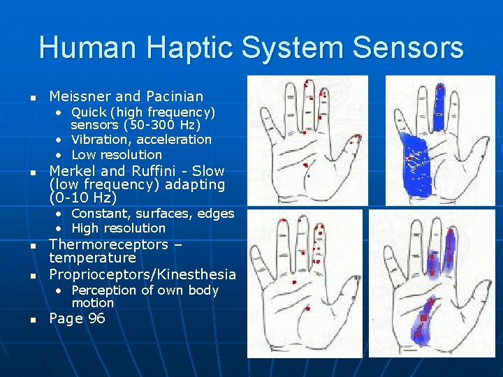 Human Haptic System Sensors n Meissner and Pacinian • Quick (high frequency) sensors (50