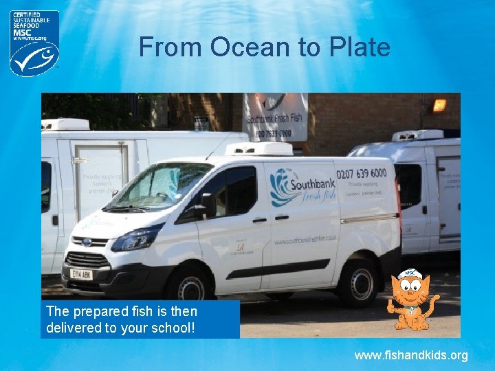 From Ocean to Plate The prepared fish is then delivered to your school! www. From Ocean to Plate The prepared fish is then delivered to your school! www.