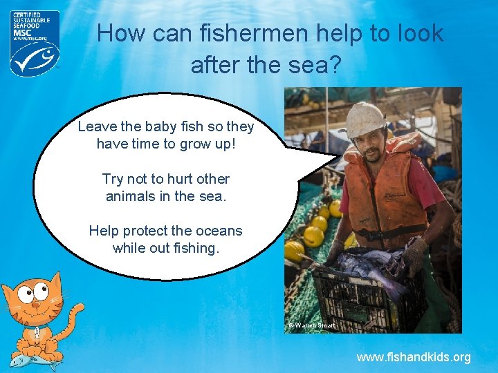 How can fishermen help to look after the sea? Leave the baby fish so How can fishermen help to look after the sea? Leave the baby fish so