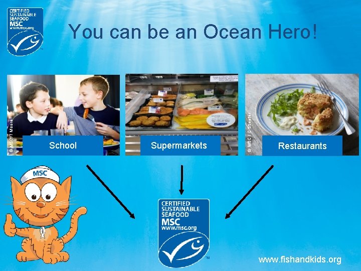School Supermarkets © MSC / C Streeter © MSC/T Moore You can be an School Supermarkets © MSC / C Streeter © MSC/T Moore You can be an