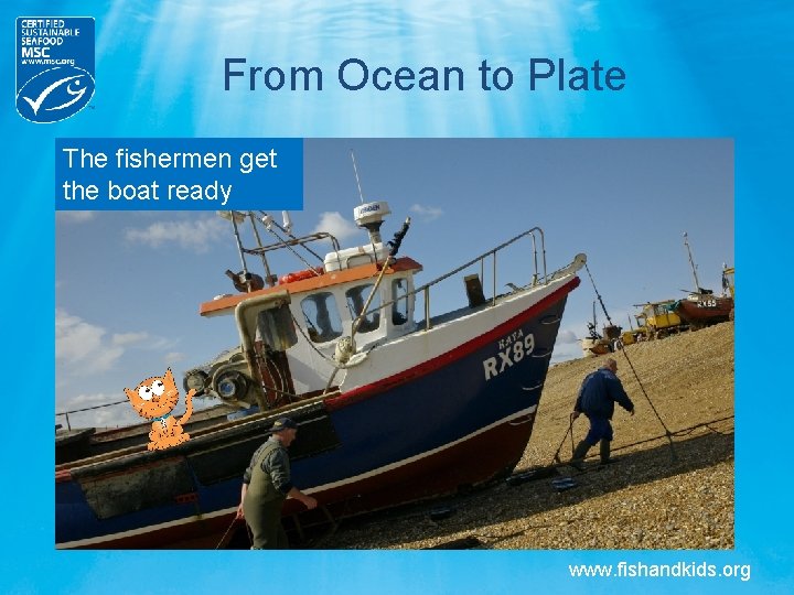 From Ocean to Plate The fishermen get the boat ready www. fishandkids. org From Ocean to Plate The fishermen get the boat ready www. fishandkids. org