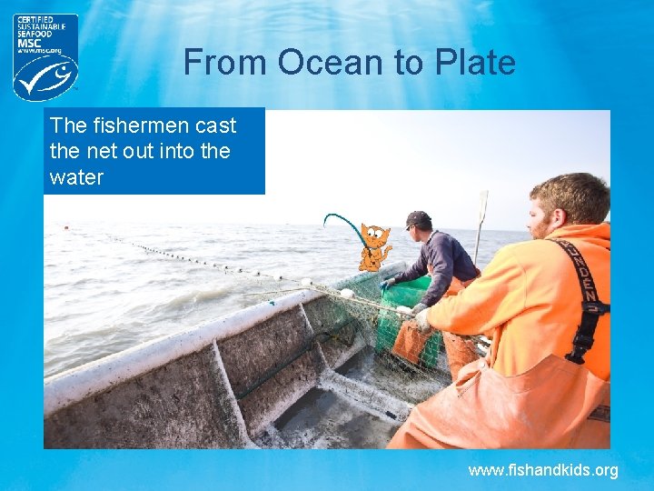 From Ocean to Plate The fishermen cast the net out into the water www. From Ocean to Plate The fishermen cast the net out into the water www.