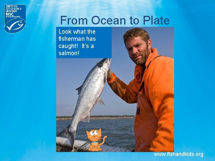From Ocean to Plate Look what the fisherman has caught! It’s a salmon! www. From Ocean to Plate Look what the fisherman has caught! It’s a salmon! www.
