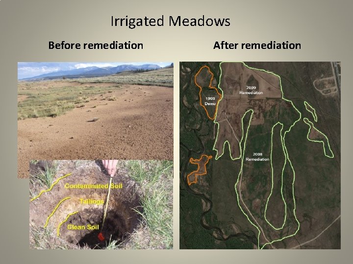 Irrigated Meadows Before remediation After remediation 