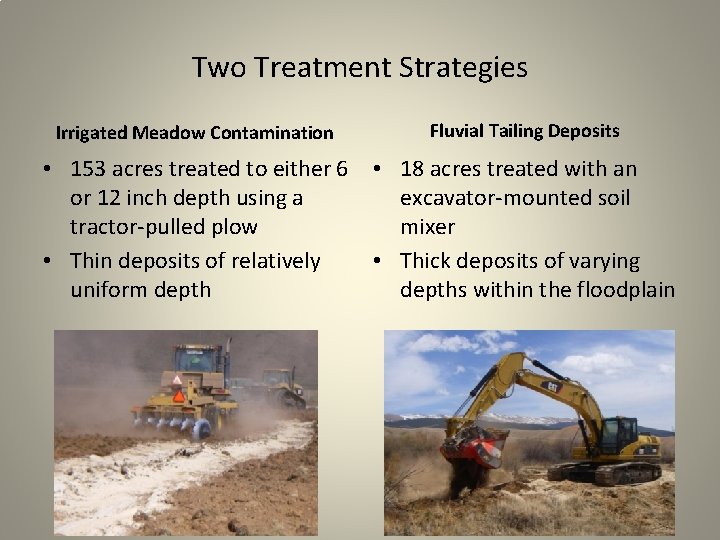 Two Treatment Strategies Irrigated Meadow Contamination Fluvial Tailing Deposits • 153 acres treated to