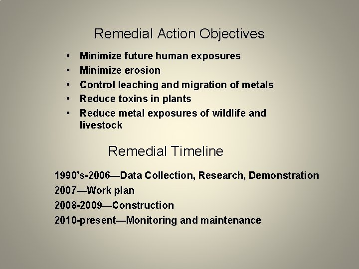 Remedial Action Objectives • • • Minimize future human exposures Minimize erosion Control leaching