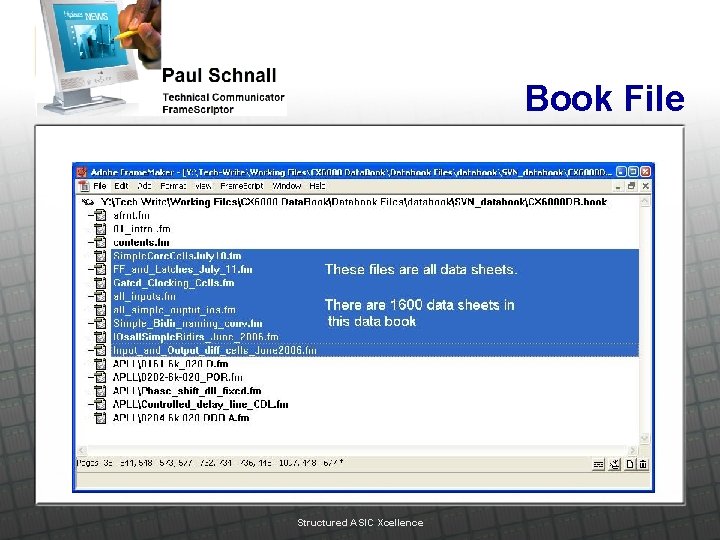 Book File Structured ASIC Xcellence 