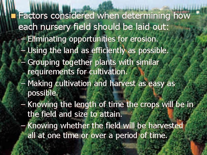 n Factors considered when determining how each nursery field should be laid out: –