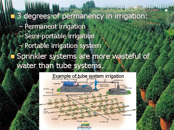 n 3 degrees of permanency in irrigation: – Permanent irrigation – Semi-portable irrigation –