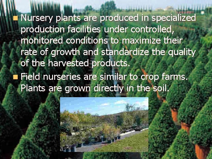 n Nursery plants are produced in specialized production facilities under controlled, monitored conditions to