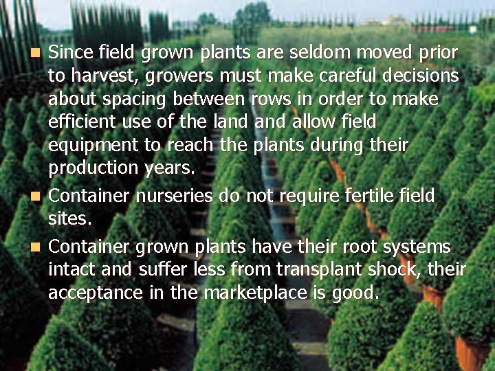 Since field grown plants are seldom moved prior to harvest, growers must make careful