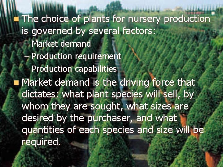 n The choice of plants for nursery production is governed by several factors: –