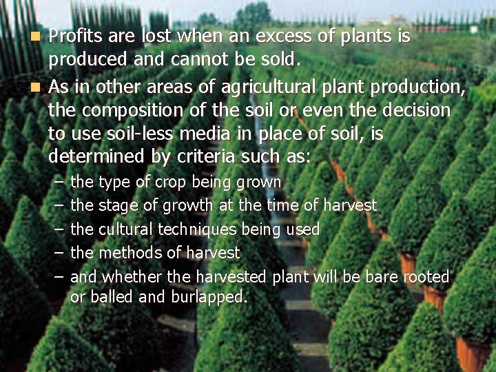 Profits are lost when an excess of plants is produced and cannot be sold.